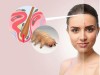 انگل دمودکس چیست؟ | معرفی انواع درمان های پزشکی و خانگی